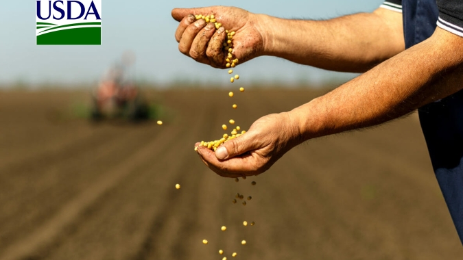 Bloomberg: Campanha de segurança alimentar de Xi pode acabar saindo pela culatra para agricultores chineses