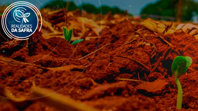 Plantio da soja se encaminha para o final em Ponta Grossa/PR e expectativa é de boa produtividade