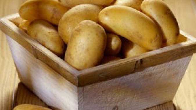 Batata/CepeaPEA: Volume ofertado por Vargem Grande do Sul nos atacados já é expressivo
