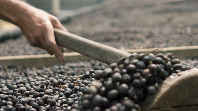 Produção e exportação de café colombiana avançam 3% em janeiro