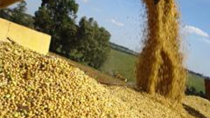 Safras eleva previsão de colheita de soja do Brasil para 155,66 mi t