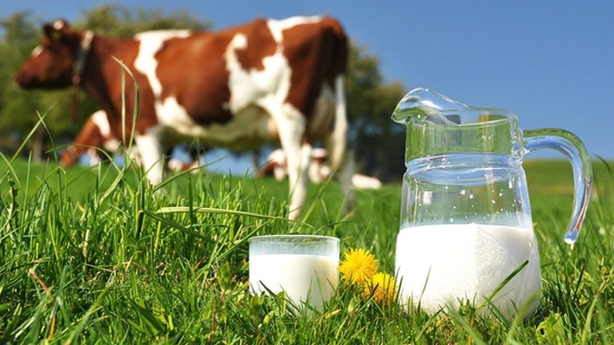 Fazendas de leite a pasto bem manejadas superam sistemas intensivos em produtividade hídrica