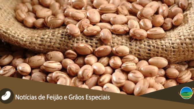 Feijão, por Ibrafe: Mercado estável e com poucos negócios