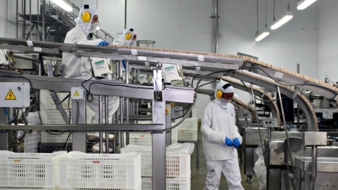 Marfrig e ADM anunciam joint venture focada em produtos vegetais