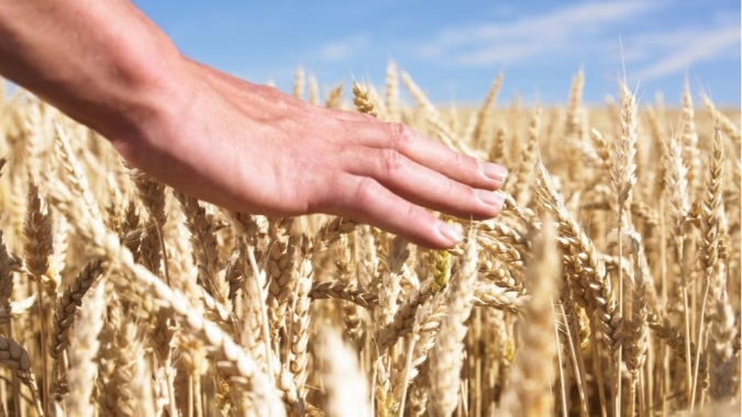 Agro cresce, mas falta liderança: o risco silencioso dentro das empresas