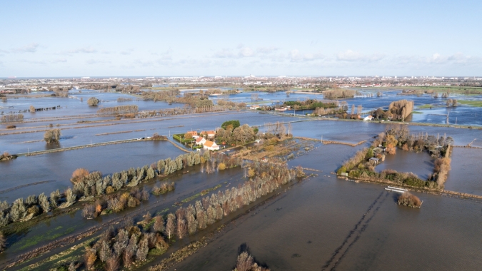 Campos inundados na Europa: Produtores franceses de beterraba sacarina temem perdas de 15%