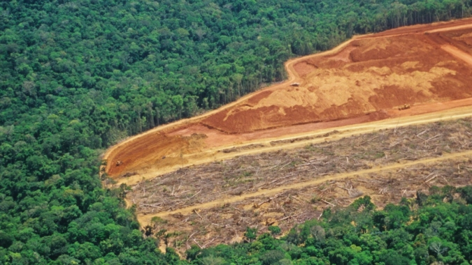 Lei antidesmatamento da UE impõe risco de exclusão de produtores e pode afetar US$ 17,5 bilhões do agro brasileiro, aponta estudo da BIP