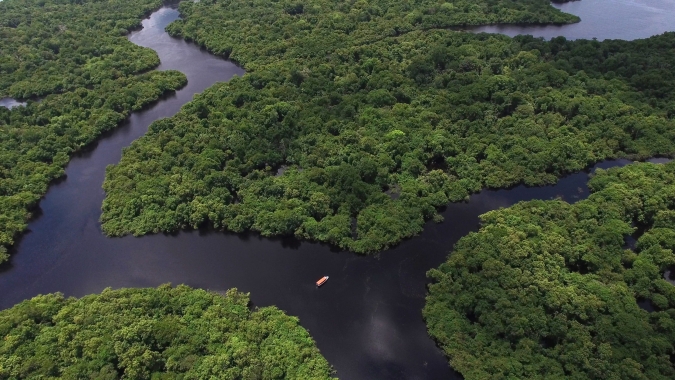 CNA vai à Justiça defender aplicação do Código Florestal na Mata Atlântica