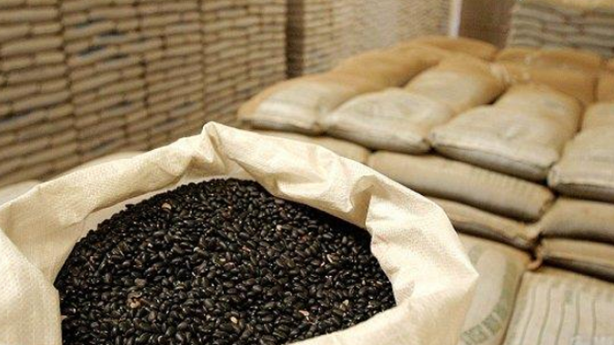 Bloomberg: Exportações de café no Brasil caem, causando preocupação com a demanda
