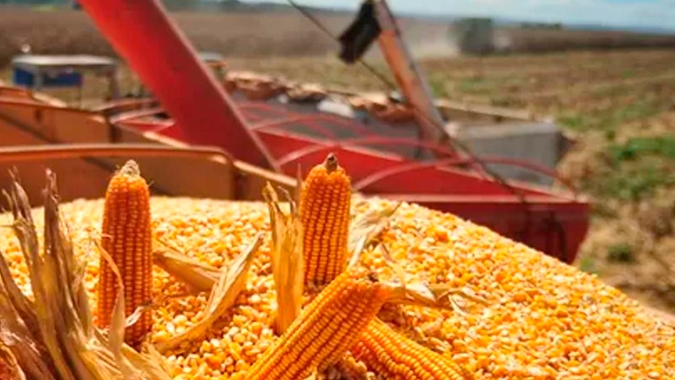 Aprosoja Tocantins se manifesta contra três novas taxações sobre o agronegócio do estado