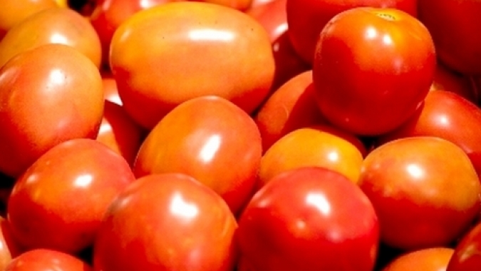 Tomate/Cepea: Preços registram queda nos atacados, exceto no Rio de Janeiro