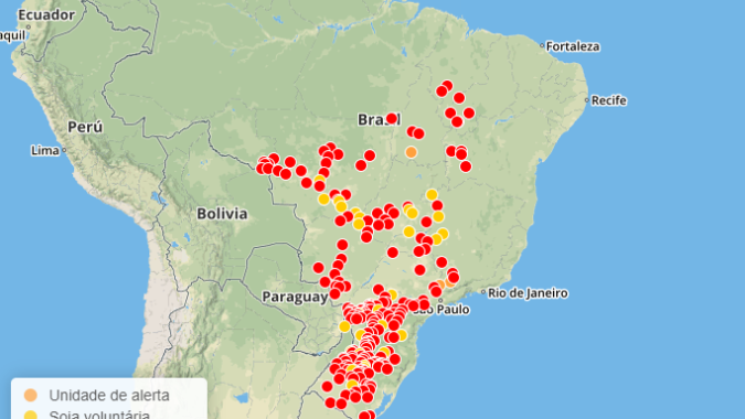 Brasil chega a 362 casos de ferrugem asiática na soja, com queda de 56% com relação à safra passada