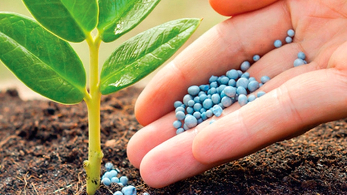 Importação de fertilizante pelo Brasil crescerá 7,5% em 2021, diz MacroSector