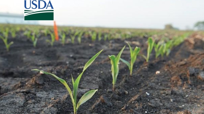 USDA aponta bom avanço do plantio de soja e milho nos EUA, mas dentro das expectativas