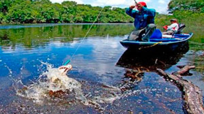 Ações do Instituto de Pesca para a valorização da qualidade do pescado visam o desenvolvimento sustentável da cadeia produtiva