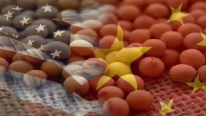 Soja dispara mais de 2% em Chicago nesta 4ª feira com China podendo voltar a comprar dos EUA