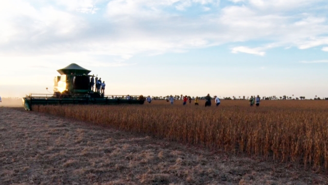 Roraima começa colher a soja e a Fazenda Terra Fértil consegue 55 sacas já na 1ª safra