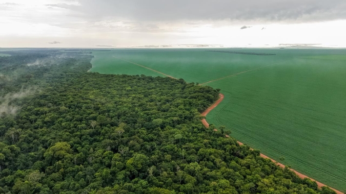 Plantio direto minimiza impactos da falta de chuva nas lavouras do oeste de Mato Grosso