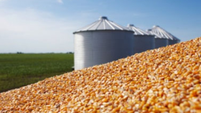 Colheita de milho 2ª safra do centro-sul avança para 1% da área, diz AgRural
