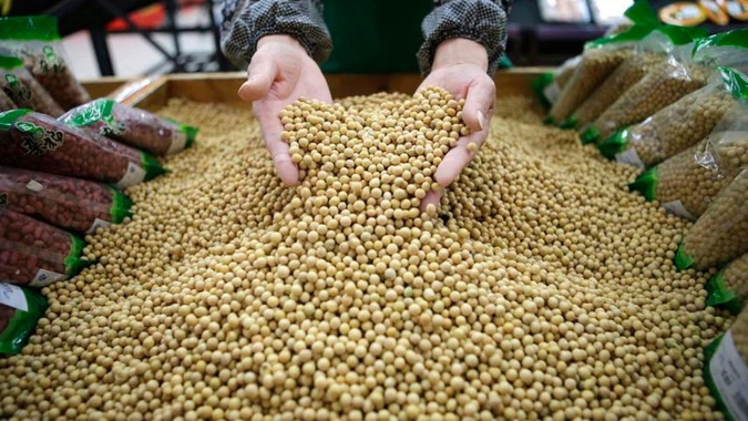 Oferta de grãos da China é suficiente para demanda doméstica, diz autoridade