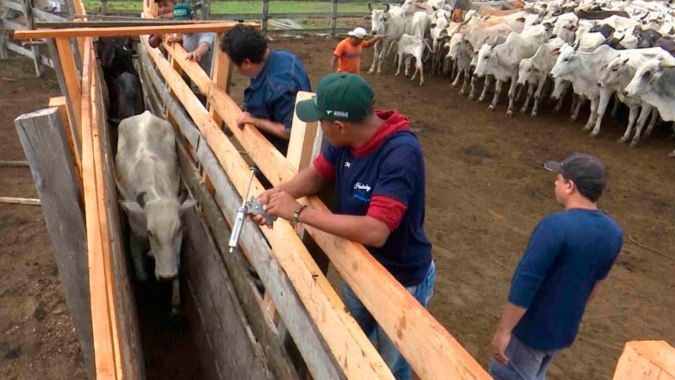 Trabalho nas indústrias de produtos para saúde animal segue normal e com perspectiva de maior demanda para alguns segmentos