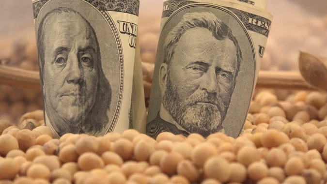 Soja cai mais de 10 pontos em Chicago com recorde do dólar no Brasil e exportações fracas nos EUA