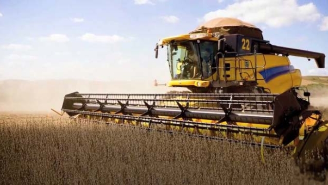 Lavouras de milho e soja no sul do país devem apresentar recuperação na produtividade na safra 2022/23