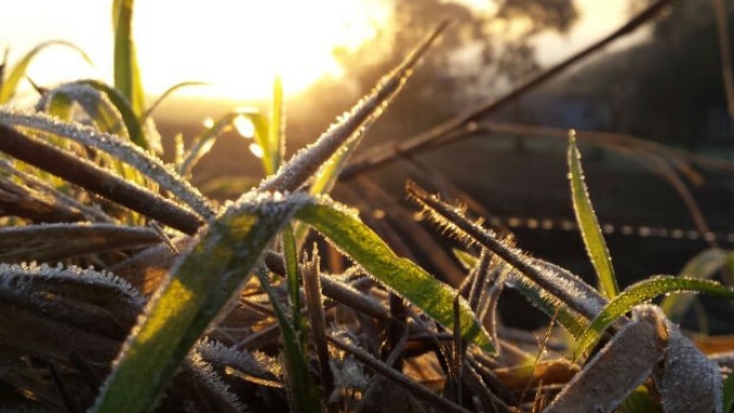Primeiro frio do Outono chega com previsão de geada com intensidade fraca no Sul do Brasil