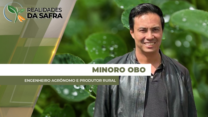 Araguari/MG espera alta produtividade da soja que começa a ser colhida