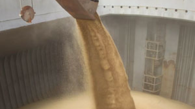 USDA: China cancela a compra de 165 mil toneladas de soja de origem opcional