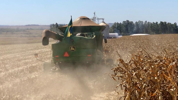 Restando menos de 3% para finalizar colheita da safra de verão de milho, safrinha vai à 39% colhida, diz Conab