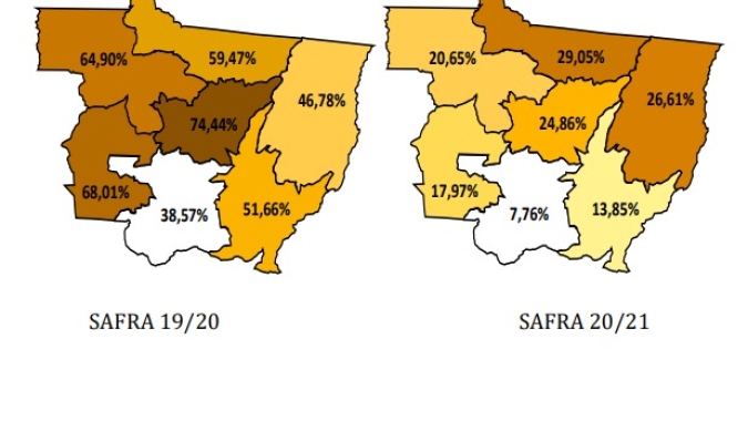 Mato Grosso plantou 20% do milho safrinha e segue bastante atrasado com relação ao ano anterior