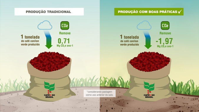 Adoção de práticas sustentáveis otimiza balanço de CO2 no café conilon capixaba