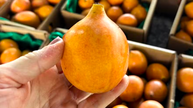 Frutas exóticas ganham espaço no mercado e despertam interesse internacional