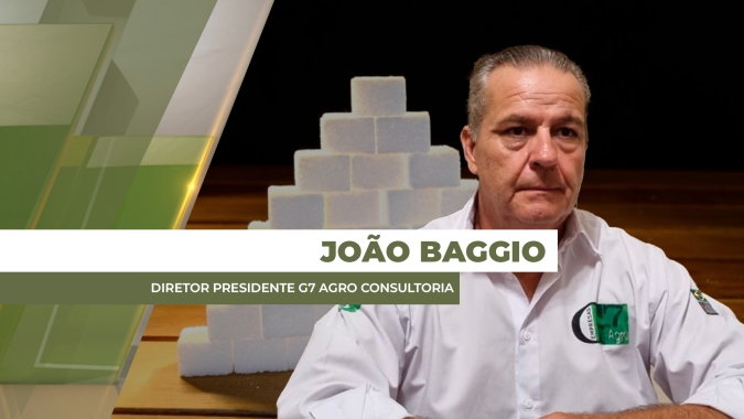 Impactos climáticos da última safra concretizam queda na produtividade e na qualidade da cana-de-açúcar