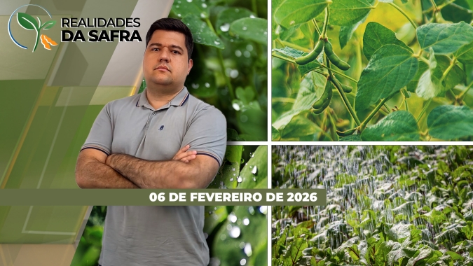 Chuvas estão atrasando as colheitas da soja em Goiás e no triângulo mineiro