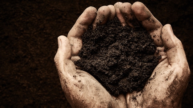 Indústrias de cana, celulose, mineração e petróleo assinam na COP28 acordo para reduzir carbono