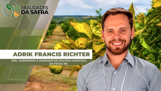 Greening segue se expandindo e Rio Grande do Sul registra primeiros casos da doença