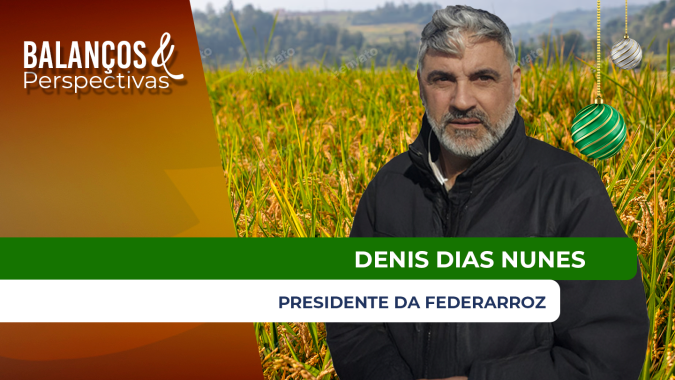 Preços do arroz em 2025 atingiram os menores níveis em anos no Brasil