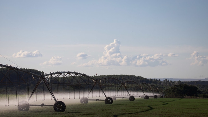 Com ação do Governo, produtor de MS adere a sistemas de irrigação para ampliar rentabilidade