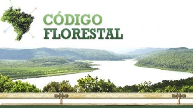 Código Florestal: Após nove anos de sua implementação, legislação ainda é injustamente questionada pelo MP, afirma especialista