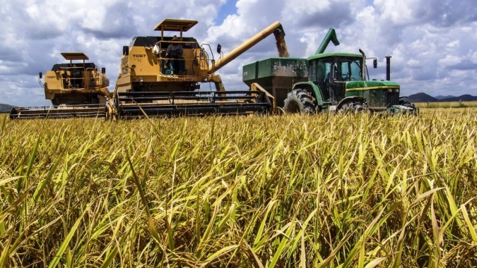 Irga: Colheita de arroz no RS alcança 93%