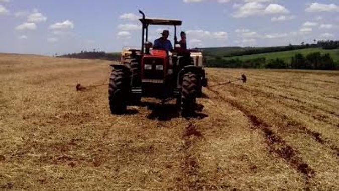 Zoneamento para plantio do milho safra começa no RS, mas temperaturas baixas impedem início dos trabalhos, diz Emater