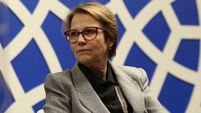 Ministra da Agricultura do Brasil vê chance de acordo UE-Mercosul em 2021