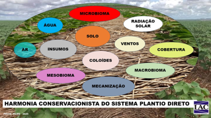 A harmonia conservacionista do sistema plantio direto, por Afonso Peche Filho