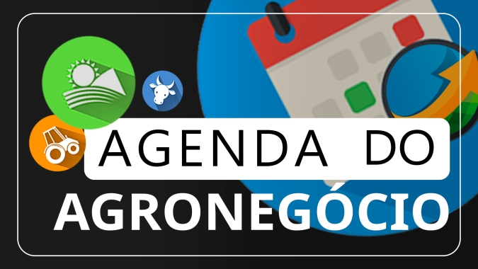 Agenda: IBGE divulga nesta 4ª dados trimestrais do abate de animais, produção de ovos e preço do leite cru pago ao produtor