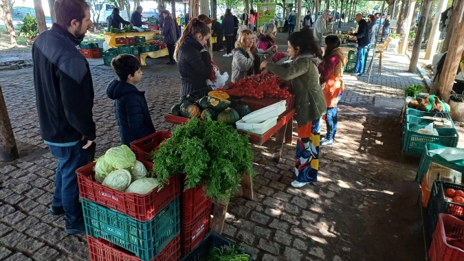 Agricultores familiares retomam feiras em meio às enchentes no Rio Grande do Sul