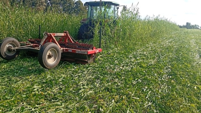 Importância da agricultura de inverno, por Prof. Afonso Peche Filho