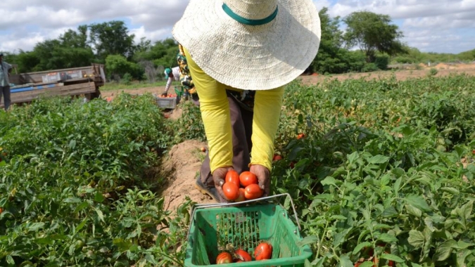 UFSCar seleciona cooperativas de agricultura familiar