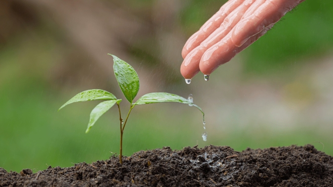 Reg.IA reúne líderes do mercado para discutir remuneração da agricultura regenerativa no Brasil